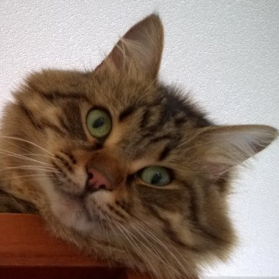 Tegen QR, tweedeling, driedeling maar voor verbinding. Kritisch, zorgzaam, oprecht.