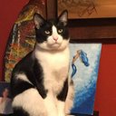 Ignacio Eduardo Paredes Vallejo - @Eddywalls65 - Twitter