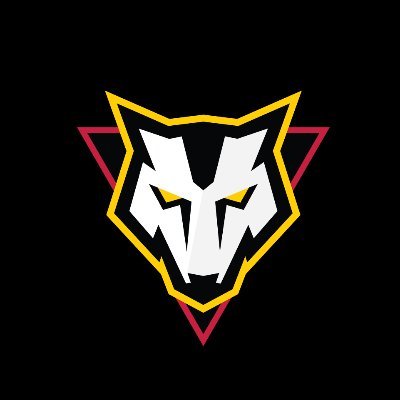 Paris Minor Hockey Association.
This account replaced @ParisWolfpack. 
Follow The Pack & we will follow you back!