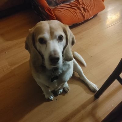 AmandaD83636444's profile picture. 