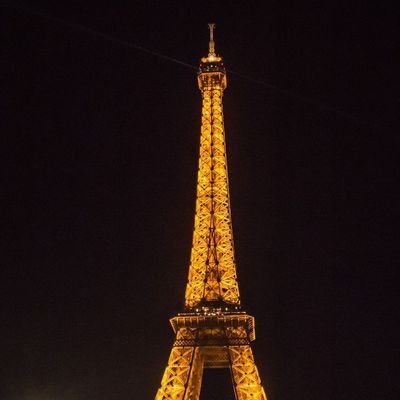 potter_head11's profile picture. Pal do Pal Ka Flyer