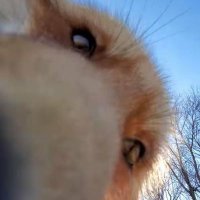 ✨Majkellis✨ (@_mistar_) 's Twitter Profile