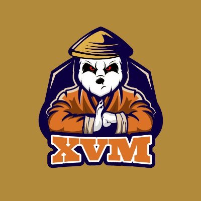 XvMSecurity's profile picture. Information security researcher/freelancer