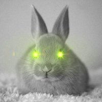 Altcoin 🐇 RABBIT 🐇 v(@altcoinrabbit) 's Twitter Profileg