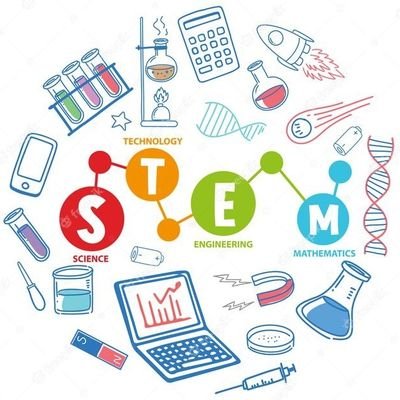 St Stephen's HS STEM Profile