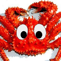 hanasakigani's profile picture. 北海道生まれで鹿島アントラーズ好きのオッサン。iPhone、PowerBook Pro使用。フリーのプログラマです。