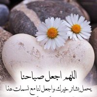 Gihan Khamis (@4miu1fjjoayy1ow) 's Twitter Profile