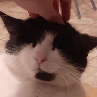 art account - rysuję za pieniądze / smiesznie sie czasem ubieram / zawodowo jestem słodka i vt,
jeden krok w przód, dwa kroki w tył d-___-b