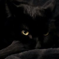 jimmykauji (@mburugachuru) 's Twitter Profile