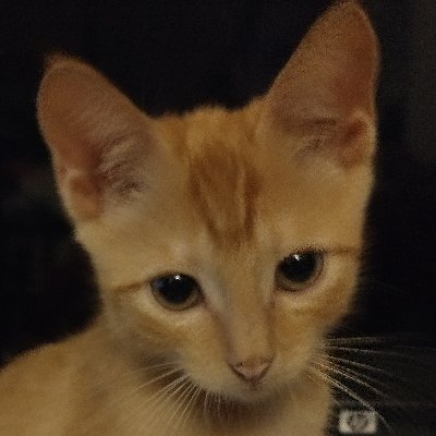 Negative_Set's profile picture. Cost Estimator with a BA in Math from Rutgers.