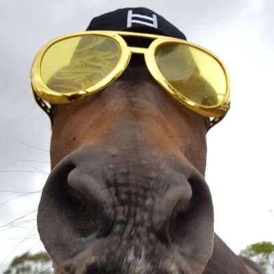 I ❤ $HBAR & Carrots 🥕🐴
#HBAR Humour, News, Info, Memes,
Entertainment. Celebrity Horse. 🐎