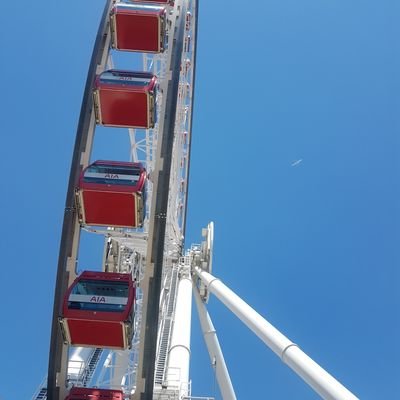 leelove76713396's profile picture. Like