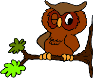 TrainWiseWords's profile picture. Experienced Language Trainer and Director of Collective Wisdom Ltd, Jeanette Mercer helps business and public sector organisations use words effectively.