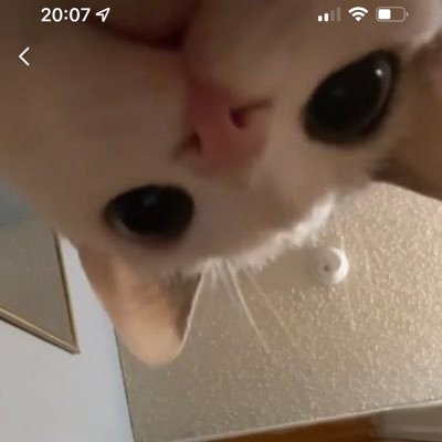 ladyhokagay's profile picture. she/her || luv my wife luv my life 🏳️‍🌈 || pisces dreamz ♊️