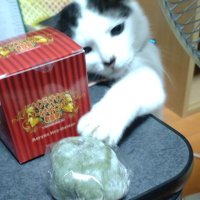 Drip coffee (@givenchy112211) 's Twitter Profile