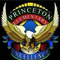 Princeton Elementary School (DCSD) (@pes_dcsd) 's Twitter Profile