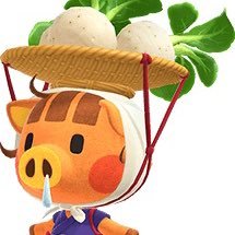 あつ森🌳らぱん島(らぱんはフランス語で🐰)のもかです🕊 無言フォロー失礼します🙇♀️島名にあわせて、うさぎ住民増やしたい🐰🥕(現在クリスチーヌ、ミッチェルのみ😭)