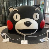 勉強アカウント (@3sxcavifs4dwxl7) Twitter profile photo