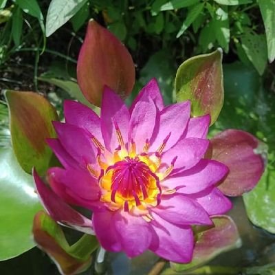 katoshi123456's profile picture. 