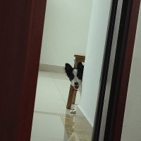 jingnitaimay (@wanglki) 's Twitter Profile