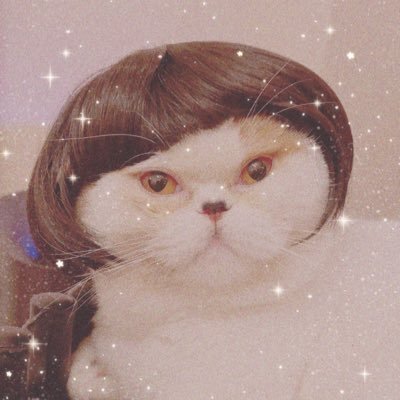 ca310さんのプロフィール画像