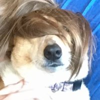 MC HammerToe (@mchammerrtoe) 's Twitter Profile
