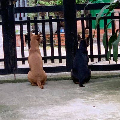 aaaacoma's profile picture. Hello