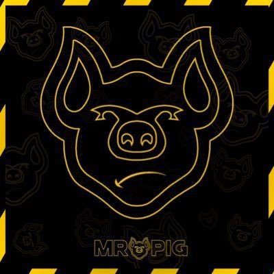 Mr Pig 10k