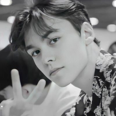 into svt and bts