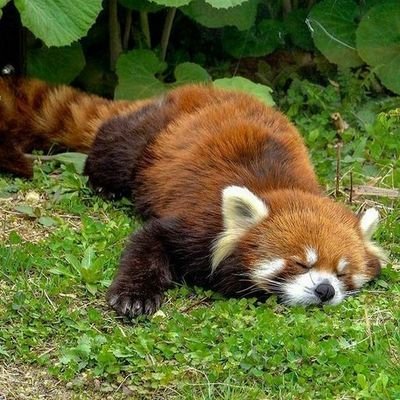 SadovyjK's profile picture. 👁👄👁