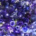 ksm (@egoist_ksm) Twitter profile photo ksm (@egoist_ksm) Twitter profile photo