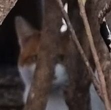 ㅂㄹ..さんのプロフィール画像