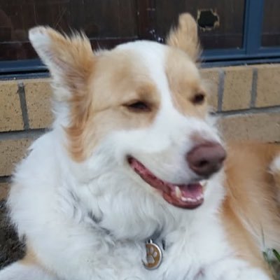 cavanagh_lois's profile picture. She/her and living on stolen Gubbi Gubbi land