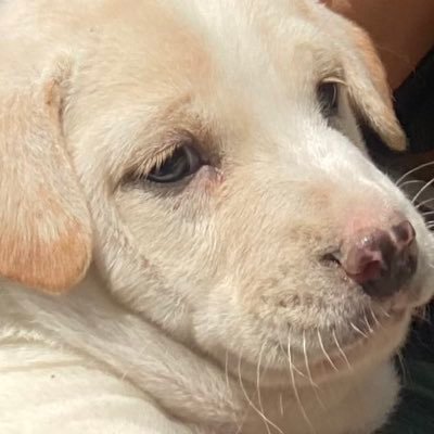 kkonthxx's profile picture. ✨