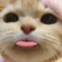Eain C (@eainsihmuezaw2) 's Twitter Profile