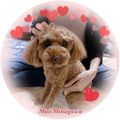 MaoHandmodel's profile picture. ハンドモデル/partsmodel/手タレ/ ✦ジャズモデルエージェンシー所属✦ ✦趣味:クラシックバレエ♡フランス語✦ お仕事のお問い合わせは下記のURLからお願いします❣️