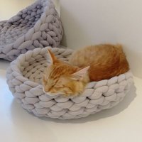 (ΦωΦ)が飼いたい🍷😻あや (@cat2kaitai) 's Twitter Profile