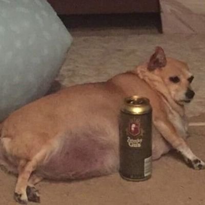 Tr4pEzz's profile picture. 