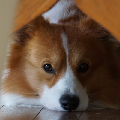 tete_tetsudo's profile picture. 千葉の車両をメインとして模型を走行させたり製品として無いものは作成したりしております。 こだわりとしては、既製品と遜色ないクォリティーを目指して作成しております。個人なので、プロには敵いませんが頑張って作成しております。YouTubeでは、走行動画などを中心に投稿しております。