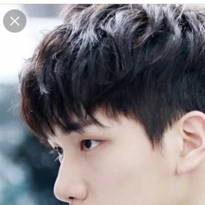 husky_bluee's profile picture. Traveller, Sporty and Pet Lover