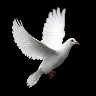 Henryvanderkamp's profile picture. 