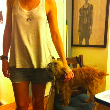 adormer's profile picture. 