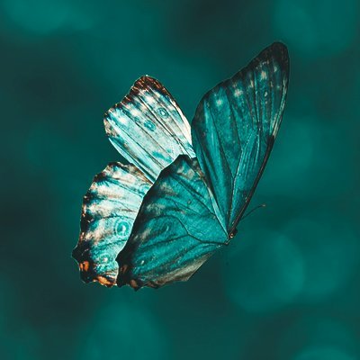 niharikasarma's profile picture. earthling.
https://t.co/xcvlfOWlag