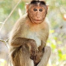 GayFagg75626323's profile picture. African American
not old enough for people over 20