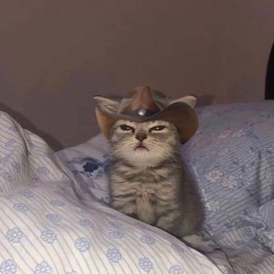 theycalmeFelizz's profile picture. 