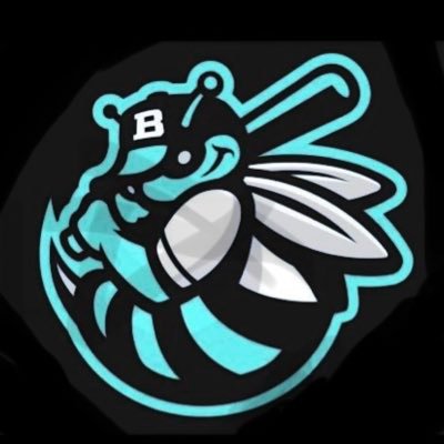 BeesByron's profile picture. College summer baseball team in the Grand Rapids area playing in the @ShorelineBall22