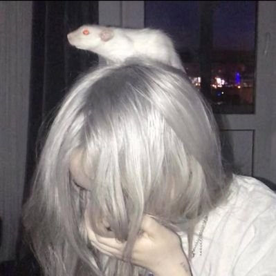 @Maryさんのプロフィール画像