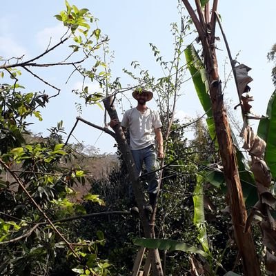 Agroecologista, agrofloresteiro, guarda parque, brigadista florestal, biólogo em formação, montanhista e anarco. Conta pessoal e as opiniões tb.