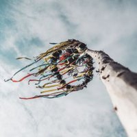 Tradfolk.co (@tradfolketc) 's Twitter Profile