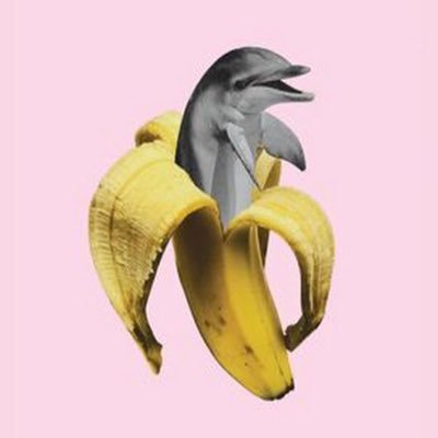 delitelpuchka's profile picture. https://t.co/SSdsJyWQC7